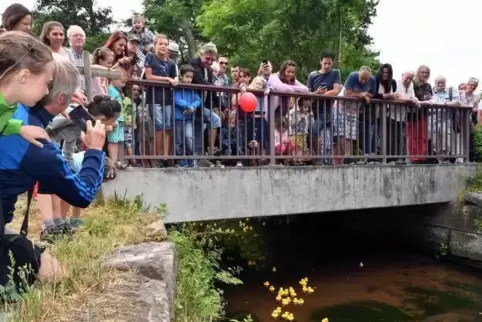 Ja, wo schwimmen sie denn?: Auf der Brücke an der Obermühle wartet das Publikum gespannt auf den Enten-Pulk.  Foto: Mehn