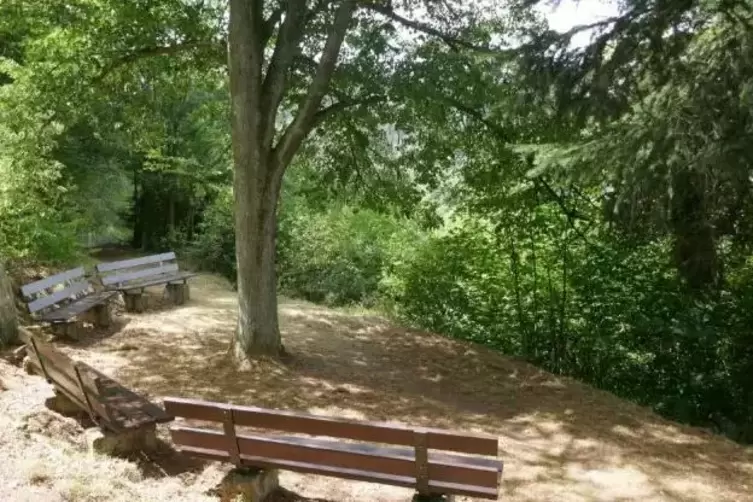 Im Bereich Gr&uuml;nberg ist der Wolf &bdquo;geblitzt&ldquo; worden. 
