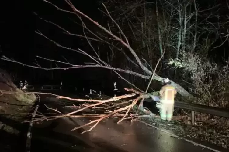 Gegen 5.30 Uhr wurden die Feuerwehren Schiersfeld, Finkenbach und Waldgrehweiler gerufen, um einen gr&ouml;&szlig;eren Baum in H&ouml;he der Bur