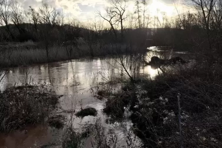 Am Ortsausgang von Alsenbr&uuml;ck-Langmeil trat das Wasser &uuml;ber die Ufer. 