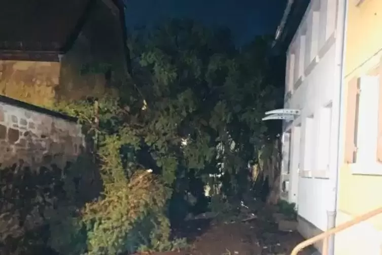 Die Liebfrauenstra&szlig;e in Kirchheimbolanden musste wegen eines umgest&uuml;rzten Baumes gesperrt werden. 