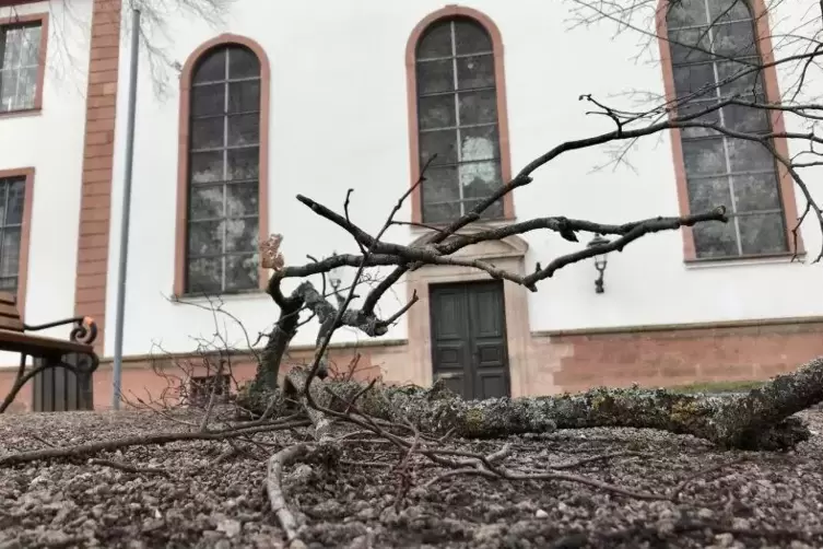 Vor der Paulskirche in Kirchheimbolanden liegen abgebrochene Äste. 