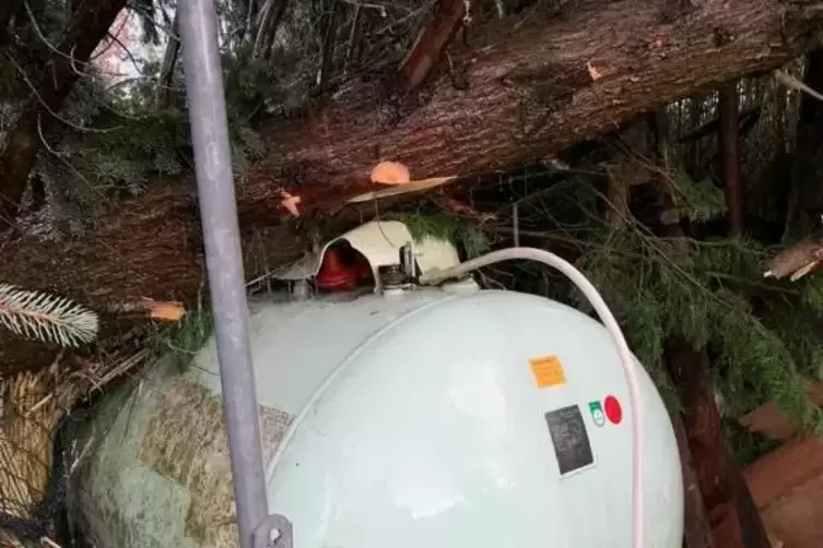 In B&ouml;hl-Iggelheim landen B&auml;ume auf einem Gastank.