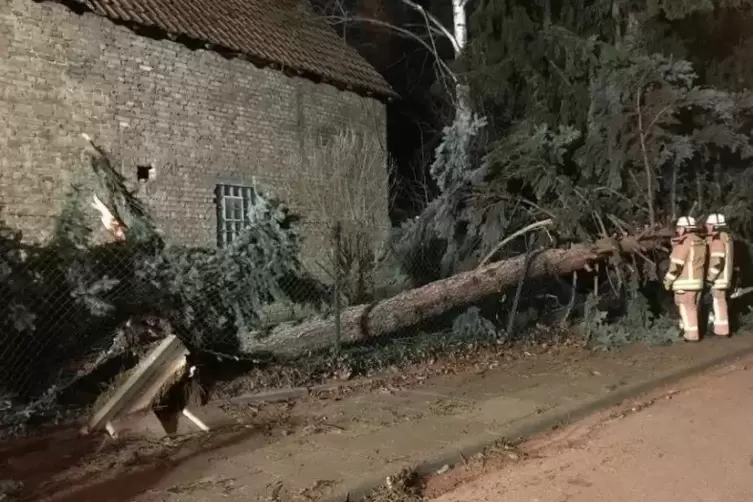 In der Hildenbrandstra&szlig;e st&uuml;rzte am Sonntag kurz nach 23 Uhr ein gro&szlig;er Baum um.