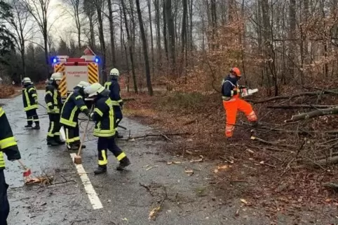 Aufräumarbeiten auf der L 504. 