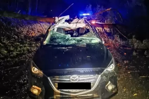 Zwischen Petersbächel und Schönau stürzte ein Baum auf diesen Mazda, der Fahrer wurde leicht verletzt. 