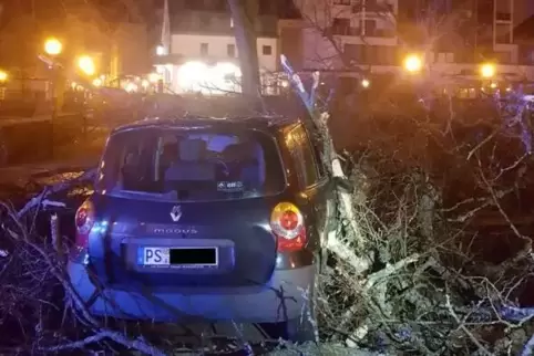 Blechschaden: In Zweibrücken fiel eine Eiche auf diesen Wagen. 