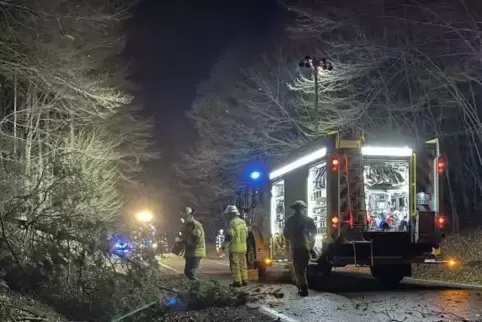Einsatz auf der Hohenecker Straße: Die Feuerwehr musste umgestürzte Bäume von der Fahrbahn holen.