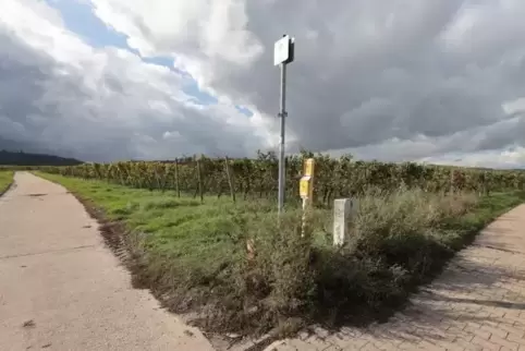 Hier könnte nach Ansicht von Bürgermeister Rüttger künftig der Radweg verlaufen: Der Weg rechts ist die Verlängerung des Grünsta