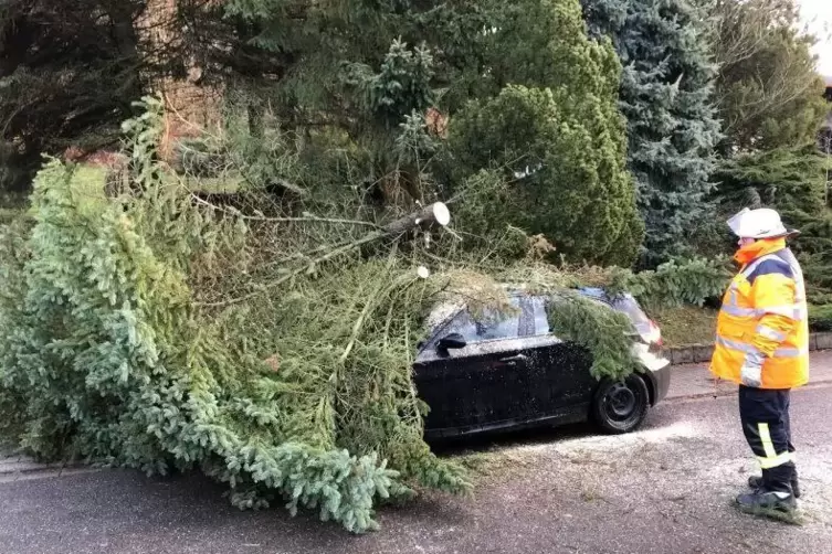 Dieser Baum fiel auf ein Auto in St. Ingbert.