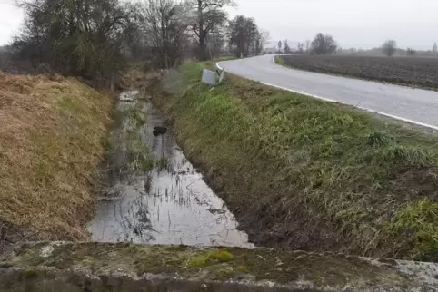 Der Wassergraben direkt neben der L 525 ist gefährlich. Autos haben keine Ausweichmöglichkeit.
