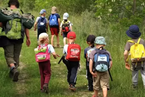 Einen Naturkindergarten für Bobenheim-Roxheim wünschen sich die Grünen. 