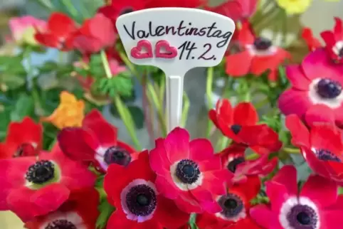 Zum Valentinstag müssen es nicht unbedingt Rosen sein, berichten die Floristen. 