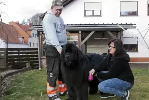 Paul Seibel hält den Neufundländer-Rüden „Chesma“ am Halsband, während Manuela Seibel das Fell bürstet. 
