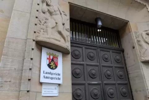 In die Streitereien innerhalb der FDP-Landtagsfraktion hat sich das Landgericht Mainz gar nicht erst eingemischt.