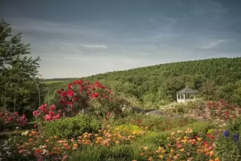 Rosengarten im Freizeitzentrum Finkenrech.