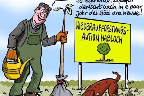 baum