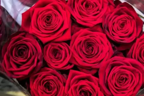Rosen als Zeichen für den Internationalen Frauentag. 