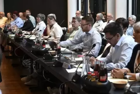 Die Verwaltung legt den Fraktionen am Donnerstag einen Text des Städtetags vor. Er soll als Resolution verabschiedet werden.