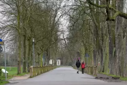 Lädt zum Spaziergang ein: die Rheinallee. Bis 1945 war die Verbindung vom Schillerweg zum Rhein nach Hindenburg benannt. 