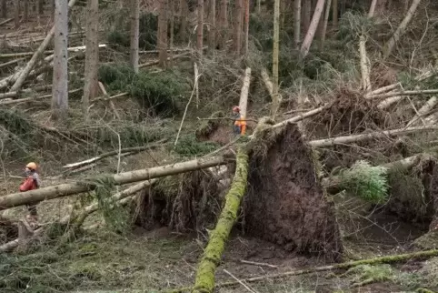 Orkan „Wiebke“ wütete vor 30 Jahren auch in der Pfalz.