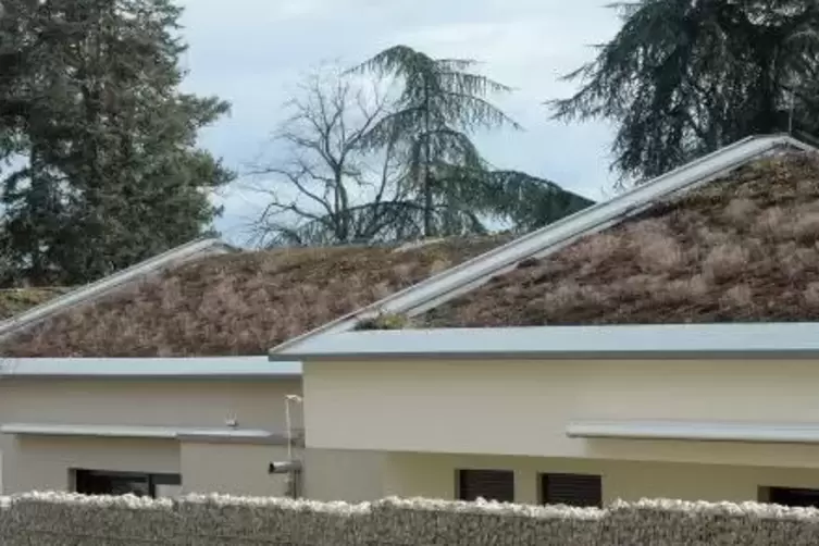 ... ebenso wie Gr&uuml;nd&auml;cher (unser Bild zeigt Bungalows der GDA Neustadt) werden sie also nicht erfasst.