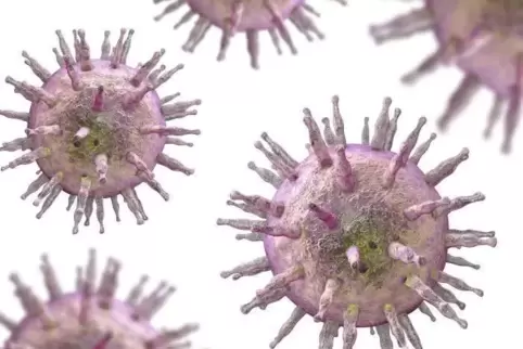 Wenn das Epstein-Barr-Virus den Körper entert, beginnt es sich wie wild zu vermehren. Das Immunsystem reagiert geradezu hysteris