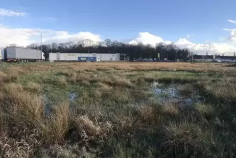 Diese Fläche im Gewerbegebiet Östlich der Lauterburger Straße war für das Ärztehaus vorgesehen. 