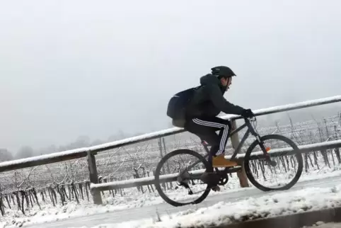 Einsam war Nachmittag ein Radler im Schneetreiben zwischen Landau und Godramstein unterwegs.