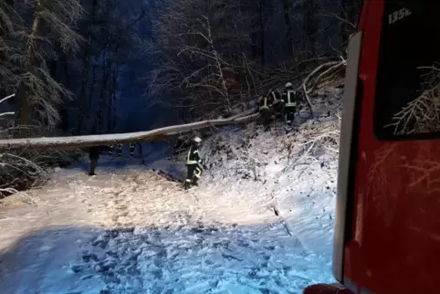 Feuerwehreinsatz auf der Kreisstraße in Richtung Kaltenbrunner Hütte. 