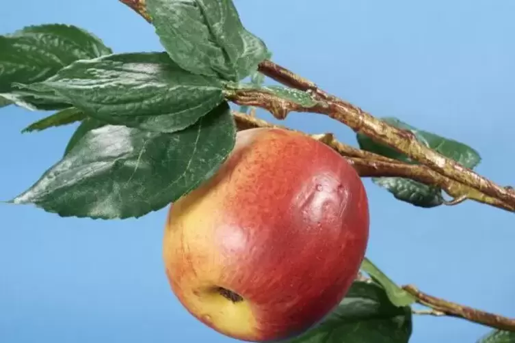 In der Schau zwischen Kunst und Kommerz, aber eindeutig: &bdquo;Apple&ldquo;.