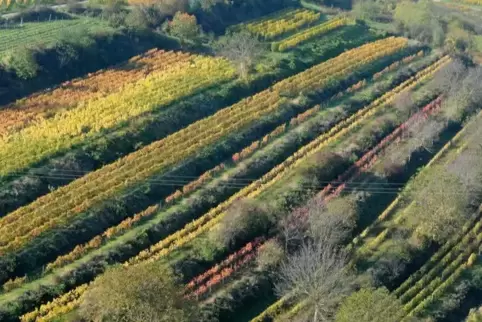 Das Berntal bei Bad Dürkheim-Leistadt: Glyphosat darf in Naturschutzgebieten nicht gespritzt werden. 