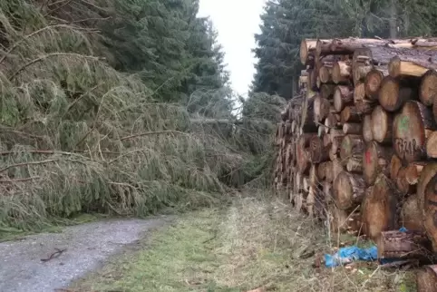 Sturmtief „Sabine“ hat große Schäden angerichtet.