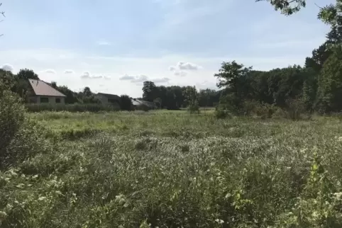 In den Winnweilerer „Weiherwiesen“ – hier ein Blick vom Lorenz-Steinbrückner-Weg auf einen Teil des Gebiets Richtung Alsenbrück 