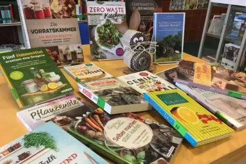Hausmittel, Vorratshaltung, Handgemachtes: In der Gemeindebibliothek gibt es allerlei Bücher rund um das Thema Nachhaltigkeit. 