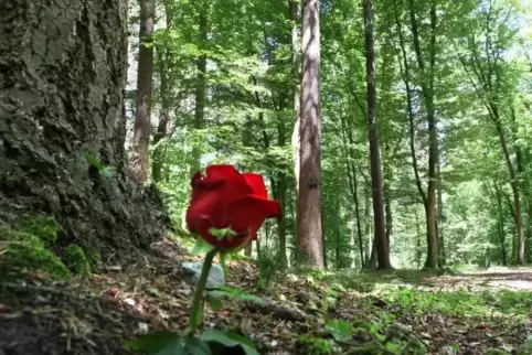 Auf dem Waldfriedhof Bienwaldruhe gehen die Bestattunsplätze aus. 