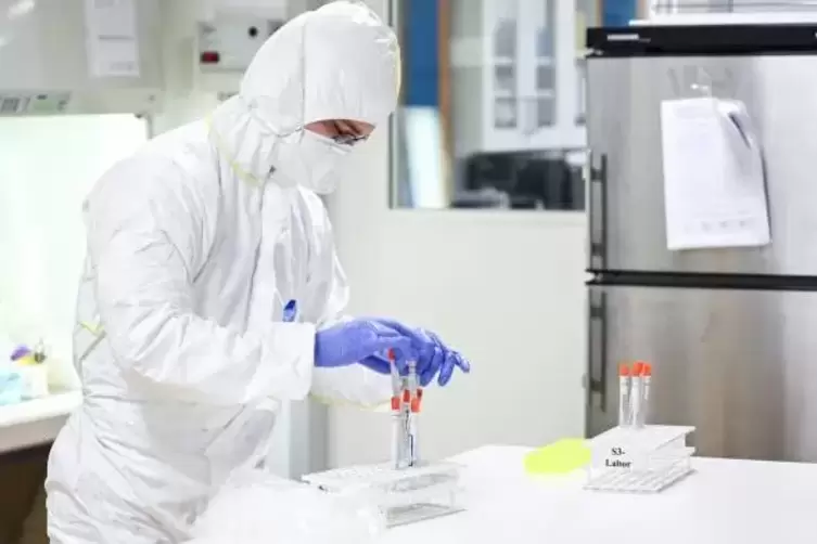 Ein Labor-Mitarbeiter in Schutzkleidung befüllt einen Ständer mit Abstrich-Röhrchen.