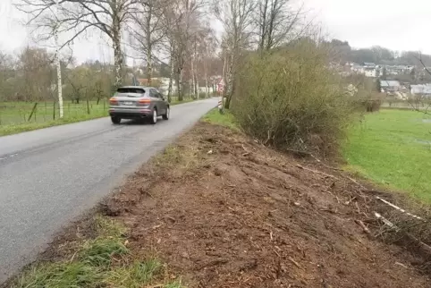 Hier hat Sturm „Sabine“ eine Allee-Birke entwurzelt. Die Stadt Homburg will für Ersatz sorgen. Hier hat Sturm „Sabine“ eine Allee-Birke entwurzelt. Die Stadt Homburg will für Ersatz sorgen.