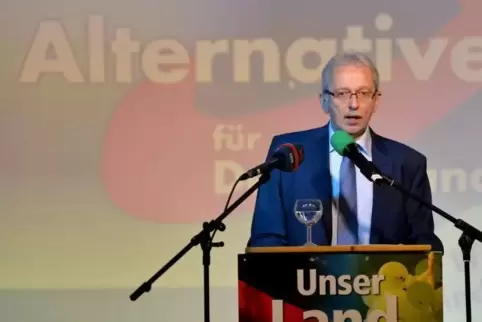 AfD-Landeschef Michael Frisch. 