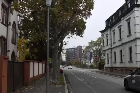 In der Nähe der Kreuzung Mahlastraße/Frankenstraße soll der 18-Jährige gefunden worden sein. Auf dem Weg ins Krankenhaus starb e