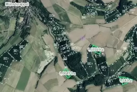In dieser Luftaufnahme sind die zur Aufforstung vorgesehenen Flächen (hellgrün umrandet) südöstlich von Münsterappel mit Angabe 