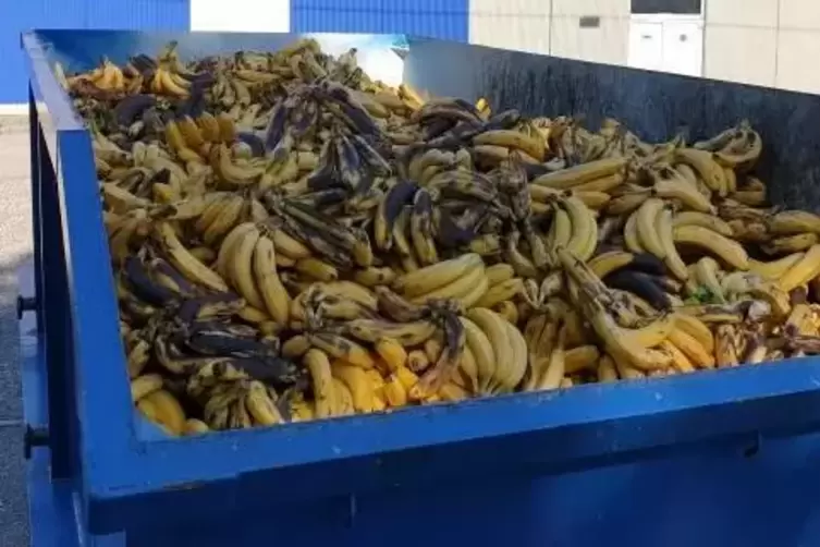 Von den Plantagen Südamerikas in den deutschen Biomüll: Ein Container Bananen. 