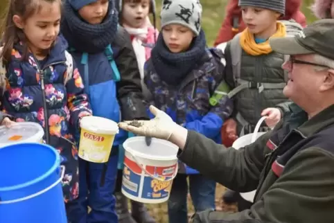 Frösche, Kröten und Molche landen in den Eimern der Hainbuchenschüler. 