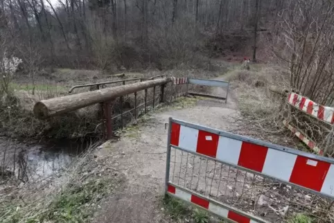 Die Brücke ist seit viereinhalb Jahren nur noch von Fußgängern und Radlern passierbar.