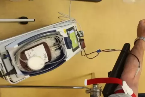 Das DRK sucht Versammlungsorte, an denen Blutspenden stattfinden können.