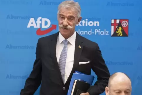 Der rheinland-pfälzische AfD-Fraktionschef Uwe Junge.