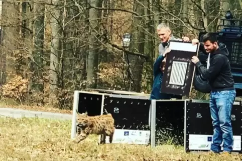 Lycka auf ihren ersten Metern in Freiheit. 