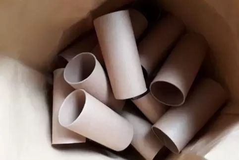 Links zum Basteln mit Klopapier-Rollen,zu Mitmach-Tanzvideos und vielem mehr gibt es auf der Webseite der Kreisverwaltung Kusel.