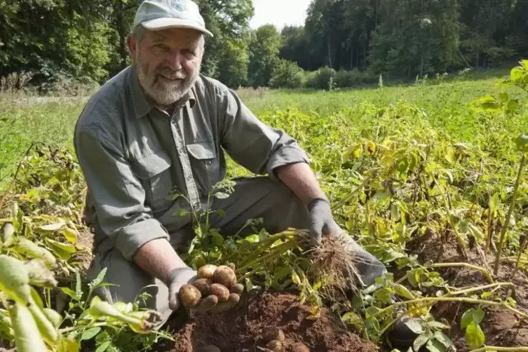 Karl Gortner aus Lambsborn gehört zu den professionellen Kartoffelanbauern im Landkreis Kaiserslautern. 
