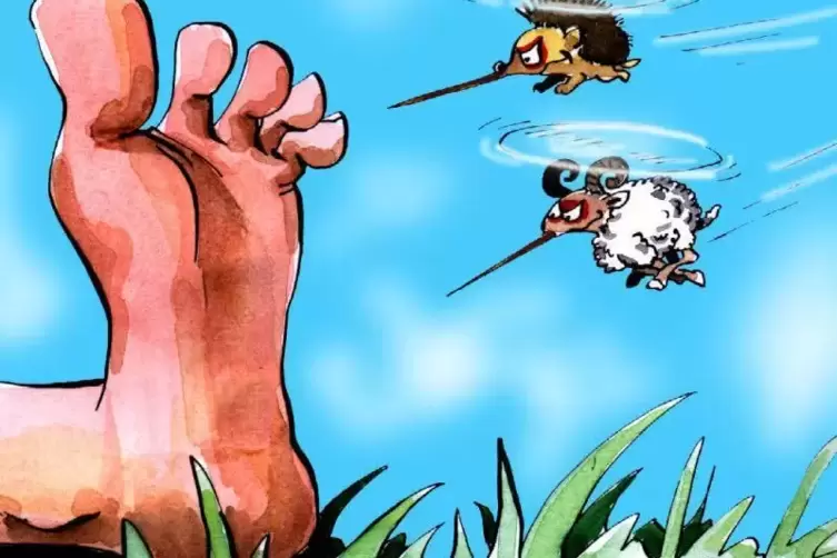 Zu Frage 5: Was nervt und kann auch noch fliegen? 